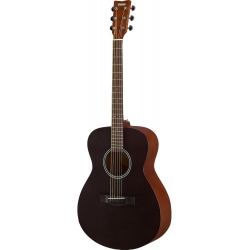 Standart Akustik Gitarlar