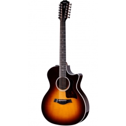 12 Telli Akustik Gitarlar