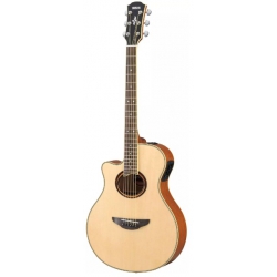 Elektro Akustik Gitarlar